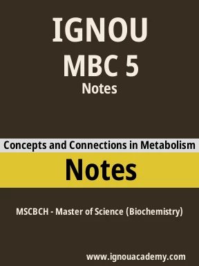 MBC 5 Solved Assignment