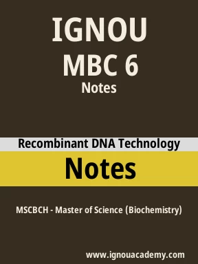 MBC 6 Solved Assignment