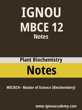 MBCE 12 Solved Assignment