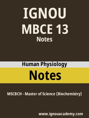 MBCE 13 Solved Assignment