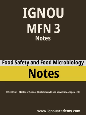MFN 3 Solved Assignment