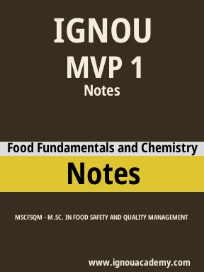 MVP 1 Solved Assignment