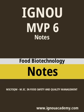 MVP 6 Solved Assignment