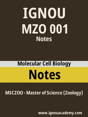MZO 001 Solved Assignment