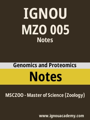 MZO 005 Solved Assignment