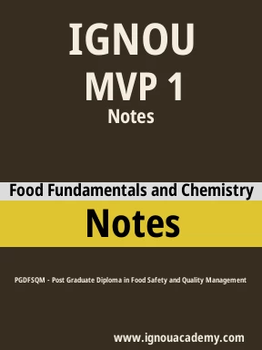 MVP 1 Solved Assignment