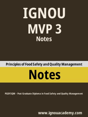 MVP 3 Solved Assignment