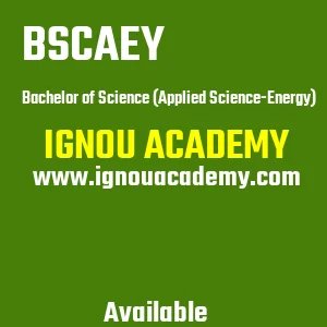 IGNOU BSCAEY Projects
