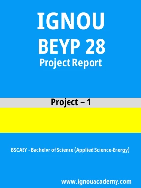 BEYP 28 Solved Assignment