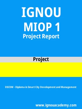 MIOP 1 Solved Assignment