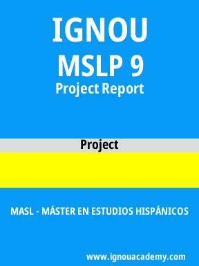 MSLP 9 Solved Assignment