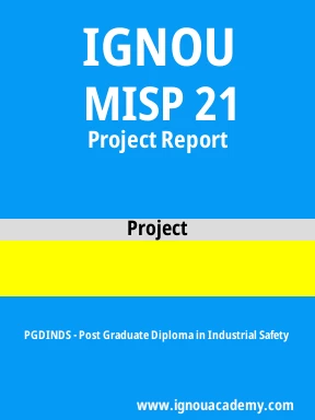 MISP 21 Solved Assignment