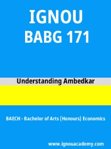 Image ignouassignments-ignouacademy-com-ignou-baech-sample-question-papers-hindi-html-div-product-image-year-71342
