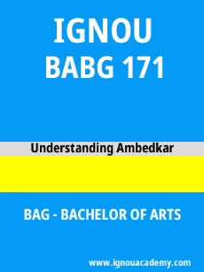 Image ignouassignments-ignouacademy-com-ignou-bag-sample-question-papers-html-div-product-image-papers-38074