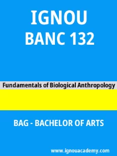 Image ignouassignments-ignouacademy-com-ignou-bag-sample-question-papers-html-div-product-image-year-24171