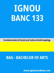 Image ignouassignments-ignouacademy-com-ignou-bag-sample-question-papers-html-div-product-image-papers-40510