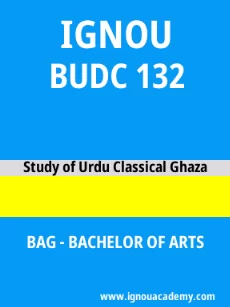Image ignouassignments-ignouacademy-com-ignou-bag-sample-question-papers-hindi-html-div-product-image-year-22014