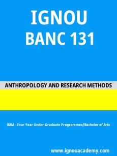 Image ignouassignments-ignouacademy-com-ignou-bam-sample-question-papers-hindi-html-div-product-image-papers-74208