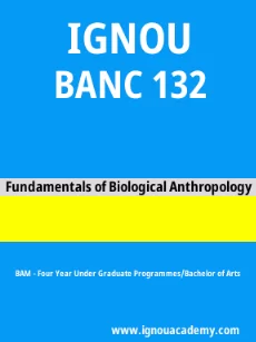 Image ignouassignments-ignouacademy-com-ignou-bam-sample-question-papers-hindi-html-div-product-image-year-67028