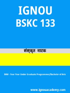 Image ignouassignments-ignouacademy-com-ignou-bam-sample-question-papers-hindi-html-div-product-image-papers-87112