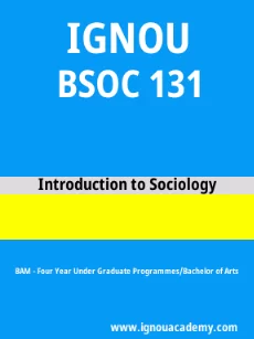 Image ignouassignments-ignouacademy-com-ignou-bam-sample-question-papers-hindi-html-div-product-image-papers-66541