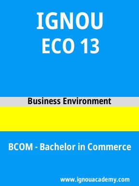 ECO 13 Solved Assignment