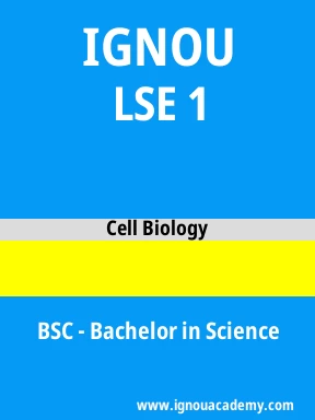 LSE 1 Solved Assignment