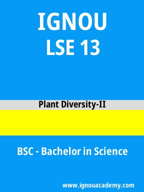 LSE 13 Solved Assignment