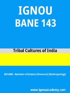 Image ignouassignments-ignouacademy-com-ignou-bscanh-sample-question-papers-hindi-html-div-product-image-year-20992