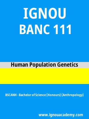 BANC 111 Solved Assignment