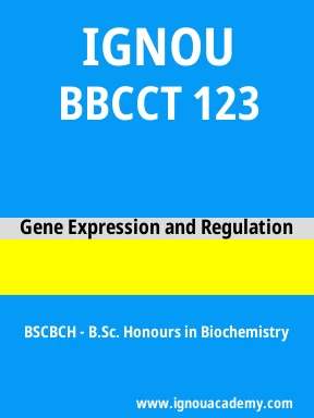BBCCT 123 Solved Assignment