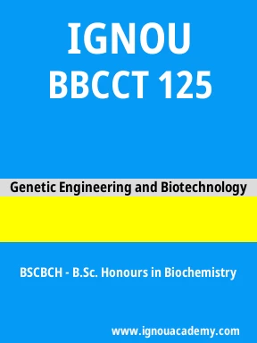 BBCCT 125 Solved Assignment