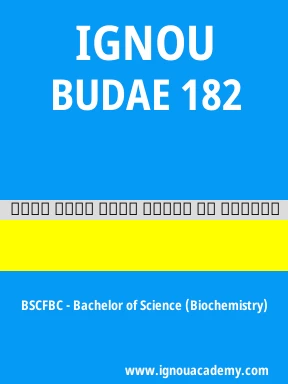 BUDAE 182 Solved Assignment