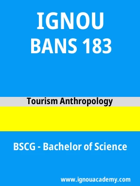 BANS 183 Solved Assignment