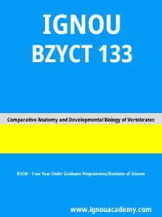 Image ignouassignments-ignouacademy-com-ignou-bscm-sample-question-papers-html-div-product-image-year-59172