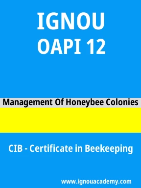 OAPI 12 Solved Assignment