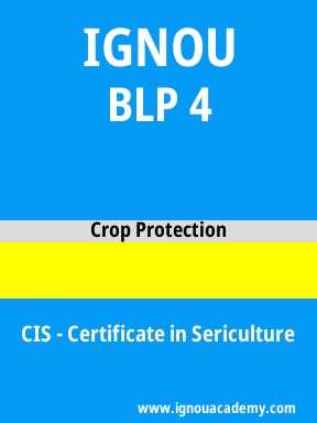 BLP 4 Solved Assignment