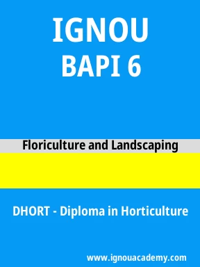 BAPI 6 Solved Assignment