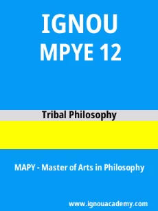 Image ignouassignments-ignouacademy-com-ignou-mapy-sample-question-papers-html-div-product-image-year-85187