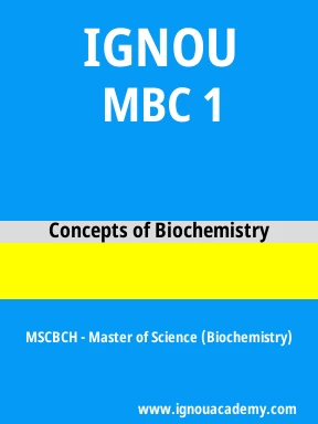 MBC 1 Solved Assignment