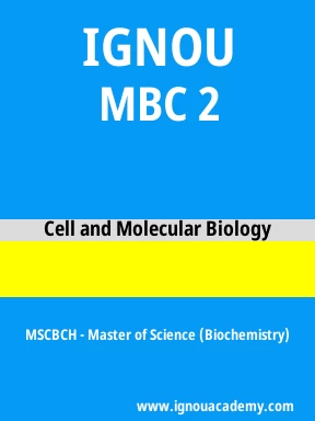 MBC 2 Solved Assignment