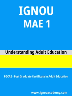 MAE 1 Solved Assignment