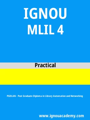 MLIL 4 Solved Assignment